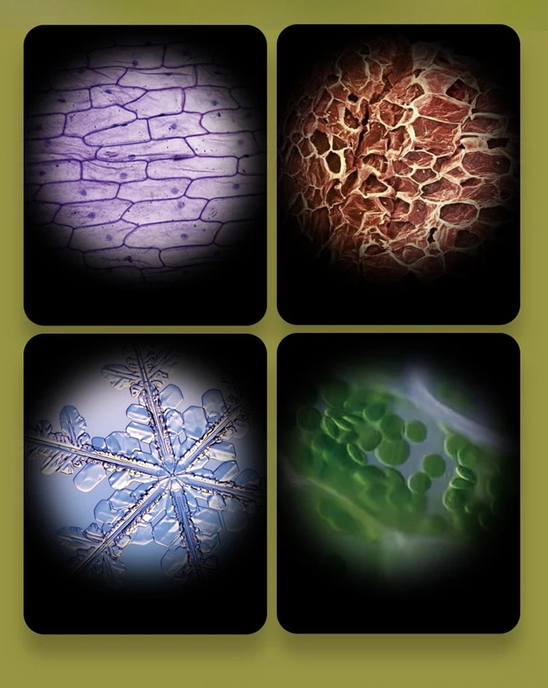 Kid Science Experiment Pocket Microscope Toy Kit 60-120x Educational Mini Handheld Microscope with Light Children STEM Toys Gift