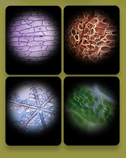 Kid Science Experiment Pocket Microscope Toy Kit 60-120x Educational Mini Handheld Microscope with Light Children STEM Toys Gift