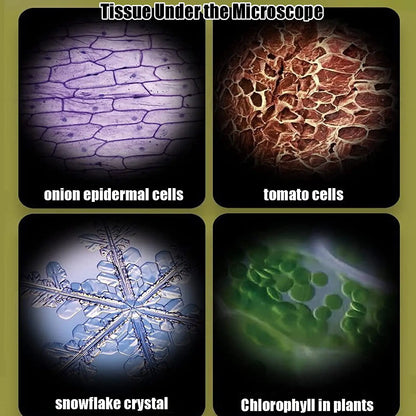 Kid Science Experiment Pocket Microscope Toy Kit 60-120x Educational Mini Handheld Microscope with Light Children STEM Toys Gift